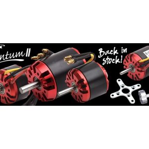 Quantum Brushles from Ripmax